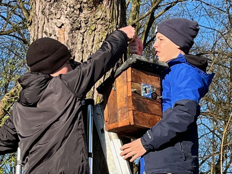 Titelbild für Beitrag: Einsatz für den Naturschutz
